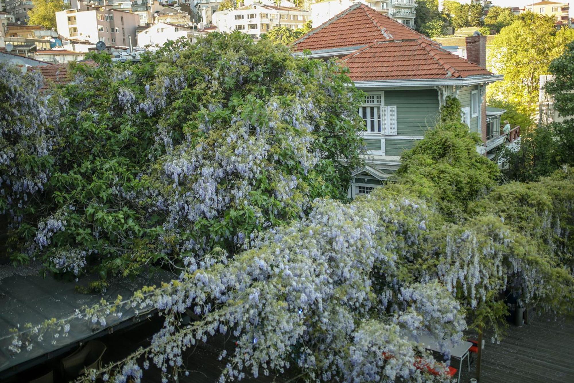 Loop Hotel Bosphorus Istanbul Eksteriør billede